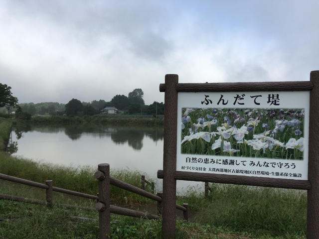 ふんだて堤 宮城県大崎市田尻 水辺のあしあと 釣りブログ