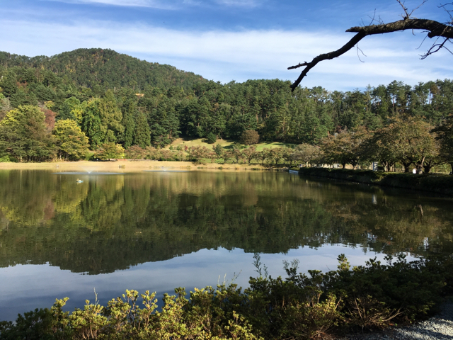 堂ノ前公園 山形県東根市 水辺のあしあと 釣りブログ